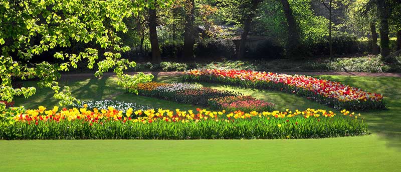 coûte une rénovation de jardin
